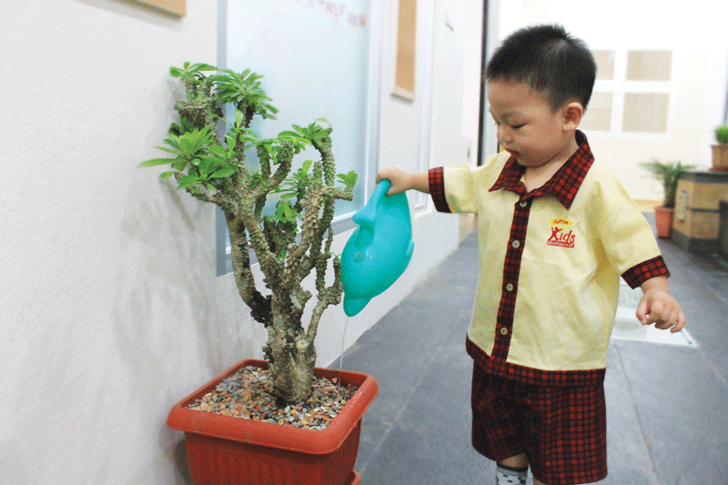 Owen waters the plant.